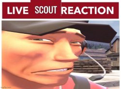 Live scout reaction Meme Template
