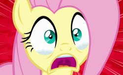 fluttershy's crying Meme Template