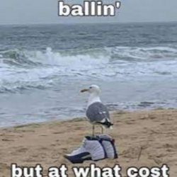 Ballin but at what cost Meme Template
