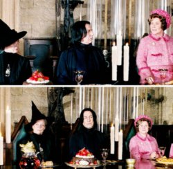 Snape and Mcgonagall with the pinkish dumb head Meme Template