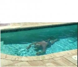 Guy Underwater Meme Template