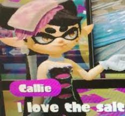I love the salt but it's callie Meme Template