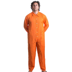 Prisoner Meme Template