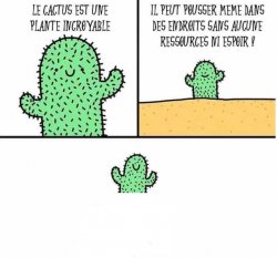 Cactus incroyable Meme Template