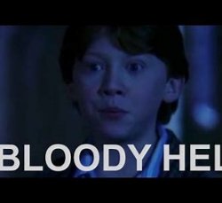 bloody hell ron weasley Meme Template