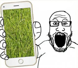 Soyjak shows grass Meme Template