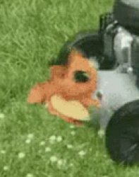 charmander dies Meme Template