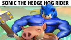 Sonic da hedge hog rida Meme Template