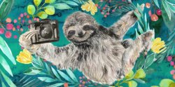 Sloth camera Meme Template