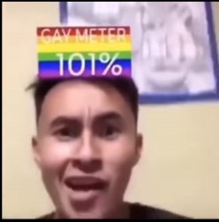 Gay Meter 101% Meme Template