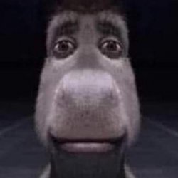 Front Facing Donkey From Shrek Meme Template
