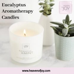 Eucalyptus Aromatherapy Candles Meme Template