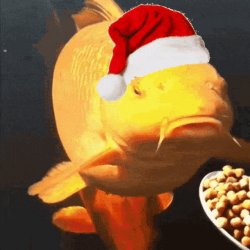 Fish Eating Beans Meme Template