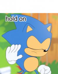 Sonic Hold on Meme Template