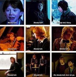 ron weasley's bloody hells Meme Template