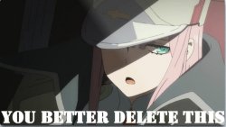you better delete this but it's zero two Meme Template