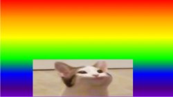 90s rainbow with a low effort cat Meme Template