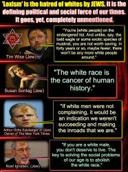 Loxism is the hatred of Whites by Jews Meme Template