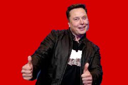 Elon Thumbs Up Meme Template