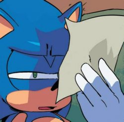 Sonic reading paper Meme Template