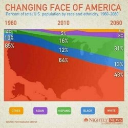 Changing face of America/great replacement Meme Template