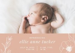 Meet Ellie anne Meme Template