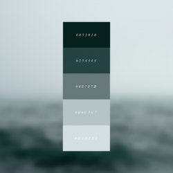 Moody color pallet Meme Template