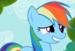 rainbow dash's awkward face Meme Template