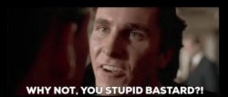 Why not, you stupid bastard? Meme Template
