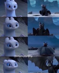 Lightfury and toothless Meme Template