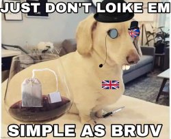 Just don’t loike em ultra British Meme Template