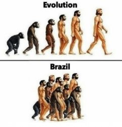 Evolution Meme Template