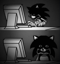 Sonic looks at computer and regrets Meme Template