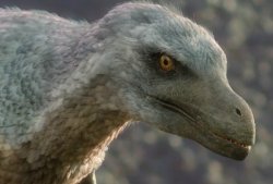Velociraptor Meme Template