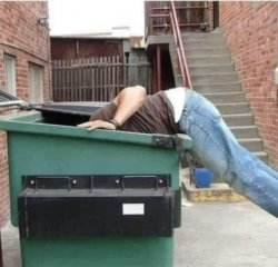 Dumpster diver Meme Template