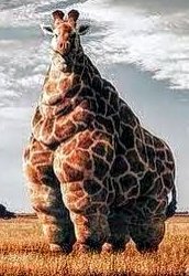 A Fat, Pixellated Giraffe. Like, FAT fat. Meme Template