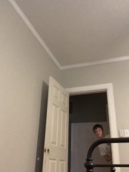 Bro what Meme Template