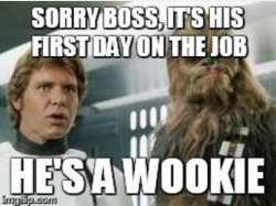 wookie Meme Template