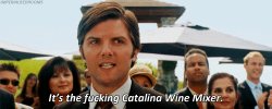 It’s the fucking Catalina Wine Mixer Meme Template