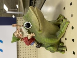 Gnomish Frog Rider Meme Template