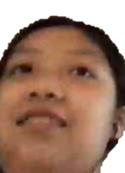laggy gurl Meme Template