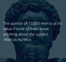 Marcus Aurelius quote Meme Template