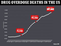Drug overdose deaths 2019-2021 Meme Template