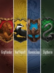 hogwarts houses Meme Template