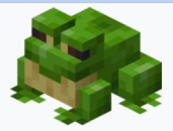 Minecraft frog Meme Template