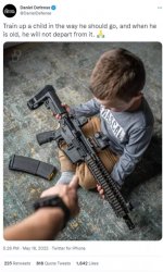 Daniel Defense Meme Template