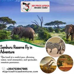 Samburu Reserve Fly in Adventure Meme Template
