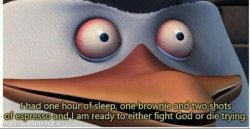 PENGUINS, ONE HOUR OF SLEEP, ONE BROWNIE Meme Template