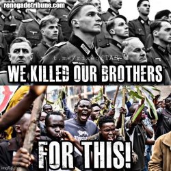 No more brothers wars Meme Template