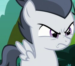 rumble's angry face (MLP) Meme Template